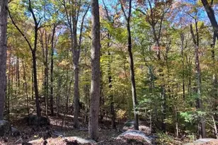 9 Buttonwood Ln, Roxboro, NC 27574 - Photo 1