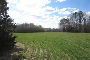 11 73 Acre Nc Hwy 96, Zebulon, NC 27597 - Photo 1