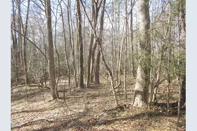 11.73 Acre Nc Hwy 96, Zebulon, NC 27597 - Photo 7