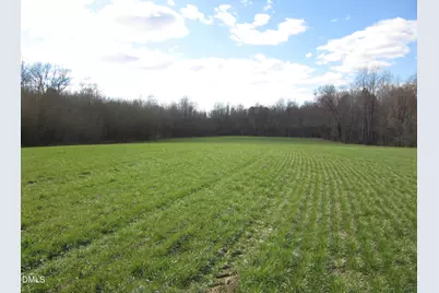 11.73 Acre Nc Hwy 96, Zebulon, NC 27597 - Photo 5