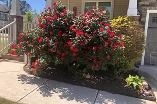 297 Hawkesburg Dr, Clayton, NC 27527 - Photo 39