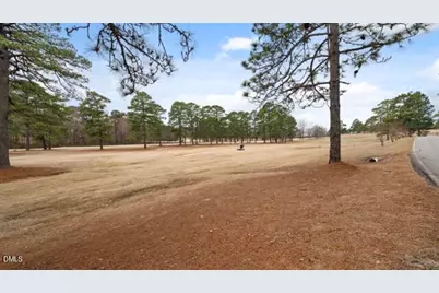 115 Baystone Drive, Sanford, NC 27332 - Photo 49