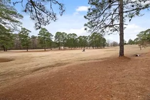 115 Baystone Dr, Sanford, NC 27332 - Photo 49