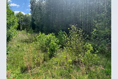 0 Helena Moriah Road, Timberlake, NC 27583 - Photo 5