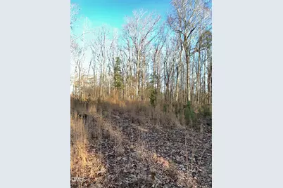 Lot 3 Jacks Trail, Hillsborough, NC 27278 - Photo 7