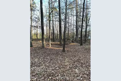 Lot 3 Jacks Trail, Hillsborough, NC 27278 - Photo 3