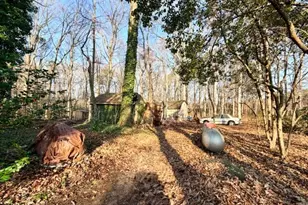 6998 US 421 S, Bear Creek, NC 27207 - Photo 59