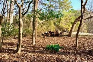 6998 US 421 S, Bear Creek, NC 27207 - Photo 45