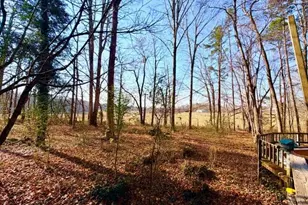 6998 US 421 S, Bear Creek, NC 27207 - Photo 41