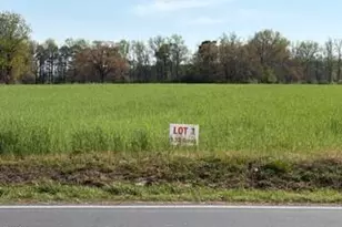 2334 Jonesboro Rd, Dunn, NC 28334 - Photo 1