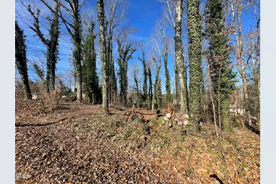 N/A Driftwood Drive, Siler City, NC 27344 - Photo 5