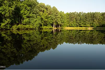 609 Amelia Avenue, Raleigh, NC 27615 - Photo 93