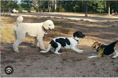 408 Lena Circle, Chapel Hill, NC 27516 - Photo 39