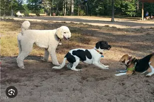 408 Lena Cir, Chapel Hill, NC 27516 - Photo 39