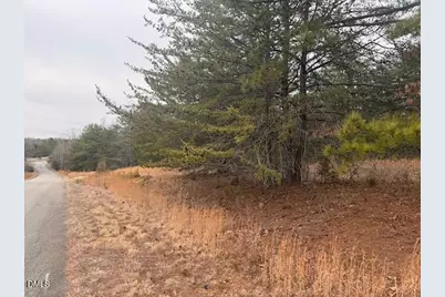 000 Triple Creek Drive, Efland, NC 27243 - Photo 3