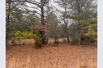 000 Triple Creek Drive, Efland, NC 27243 - Photo 1