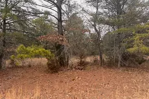 000 Triple Creek Dr, Efland, NC 27243 - Photo 1