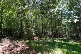 162 Black Horse Ln, Kittrell, NC 27544 - Photo 35