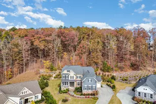 137 Lystra Grant Ct, Chapel Hill, NC 27517 - Photo 55