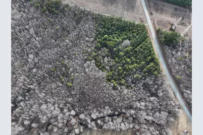 6.14 Acres Allen Creek Road, Rougemont, NC 27572 - Photo 13