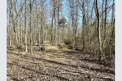 6.14 Acres Allen Creek Road, Rougemont, NC 27572 - Photo 7