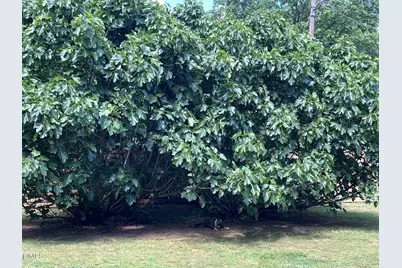 1517 US 70A, Hillsborough, NC 27278 - Photo 43