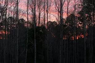 1132 4 Wheel Dr, Wake Forest, NC 27587 - Photo 49