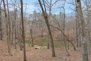 3401 Seven Springs Rd, Hillsborough, NC 27278 - Photo 51