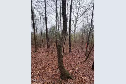 0 Glosson Road, Siler City, NC 27344 - Photo 3