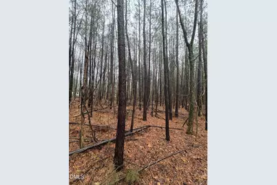 0 Glosson Road, Siler City, NC 27344 - Photo 5