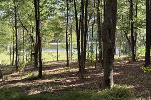 292 Choice Trl, Pittsboro, NC 27312 - Photo 1