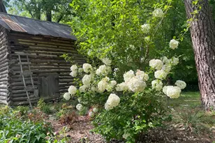 816 Nc Hwy 751, Apex, NC 27523 - Photo 83