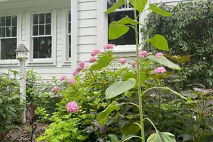 816 Nc Hwy 751, Apex, NC 27523 - Photo 85