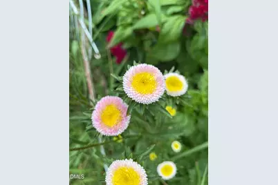 816 Nc Highway 751, Apex, NC 27523 - Photo 87