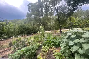 816 Nc Hwy 751, Apex, NC 27523 - Photo 77