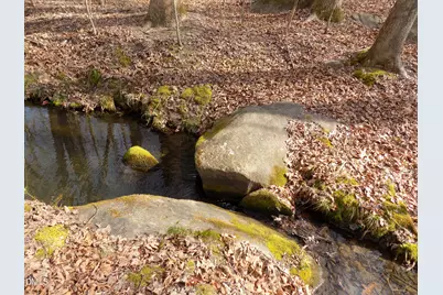 598 Moores Pond Road, Youngsville, NC 27596 - Photo 29