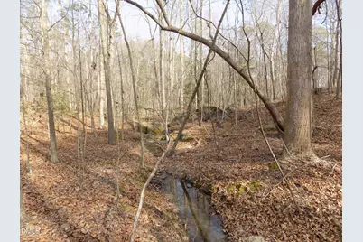 598 Moores Pond Road, Youngsville, NC 27596 - Photo 31