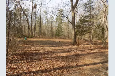 598 Moores Pond Road, Youngsville, NC 27596 - Photo 5