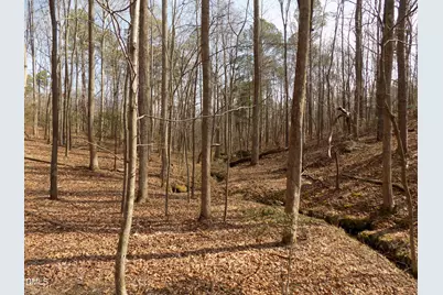 598 Moores Pond Road, Youngsville, NC 27596 - Photo 25