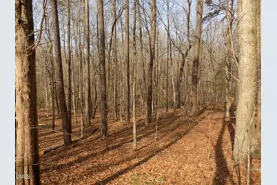 598 Moores Pond Road, Youngsville, NC 27596 - Photo 33