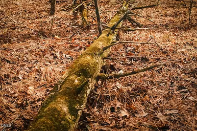 000 Ferguson Road, Chapel Hill, NC 27516 - Photo 7