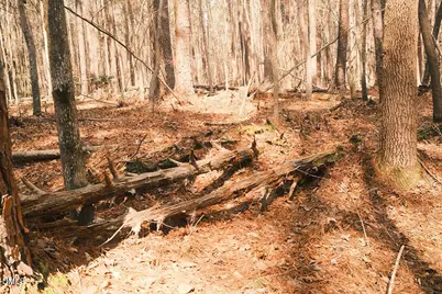 000 Ferguson Road, Chapel Hill, NC 27516 - Photo 15