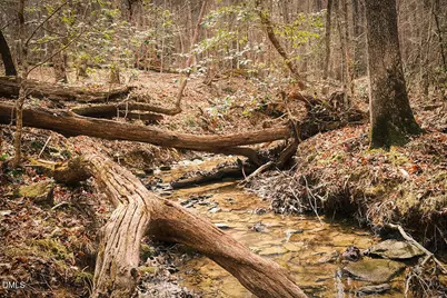 000 Ferguson Road, Chapel Hill, NC 27516 - Photo 3