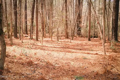 000 Ferguson Road, Chapel Hill, NC 27516 - Photo 9