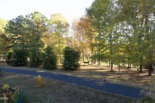 1091 Branch Line Ln, Apex, NC 27502 - Photo 41