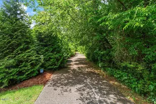 405 Jewell Dr, Chapel Hill, NC 27516 - Photo 69