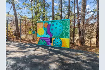 14 Tottenham Lane, Chapel Hill, NC 27517 - Photo 47