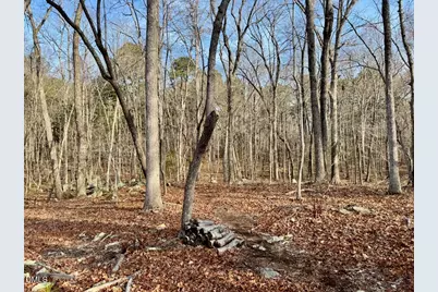 3916 Marklyn Place, Hillsborough, NC 27278 - Photo 11