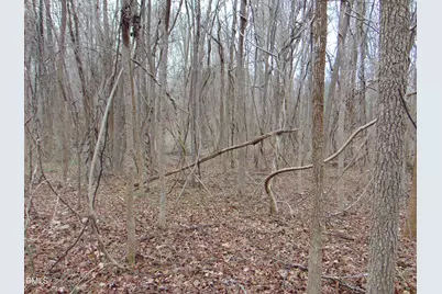 0 Fowlkes Road, Pelham, NC 27311 - Photo 5