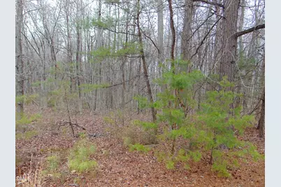 0 Fowlkes Road, Pelham, NC 27311 - Photo 3